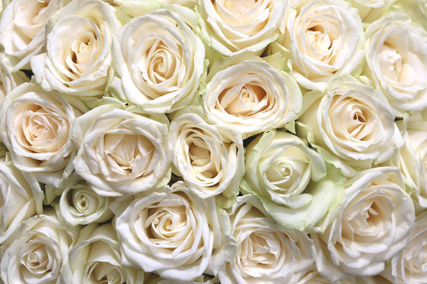 Natural floral background with bouquet of white roses - Photo, Image