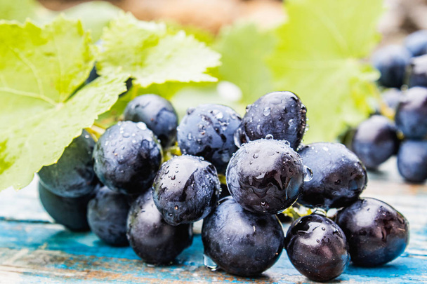 Raisins bleus avec des gouttes d'eau et des feuilles vertes sur de vieilles planches bleues. Un bouquet de raisins sur une table en bois
. - Photo, image