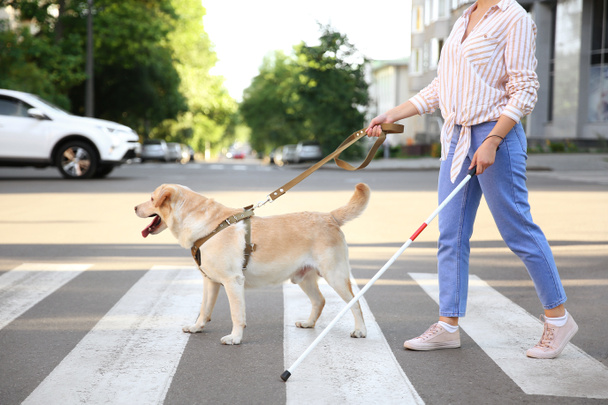 Joven ciega con perro guía cruzando la carretera
 - Foto, Imagen