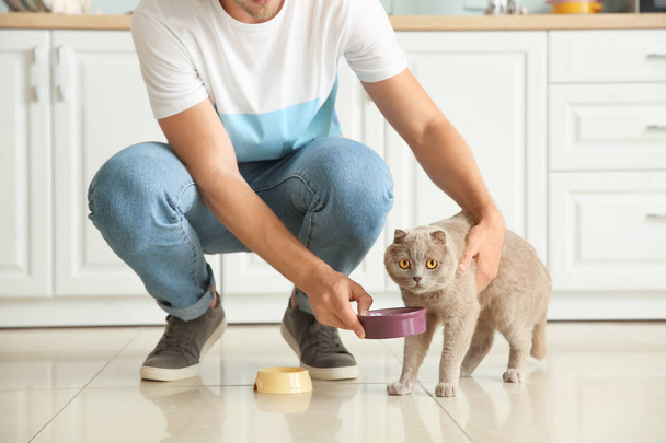 Man feeding cute funny cat in kitchen - Photo, Image