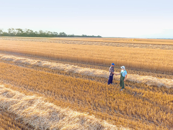Campesinos dando la mano en campo de trigo
 - Foto, imagen