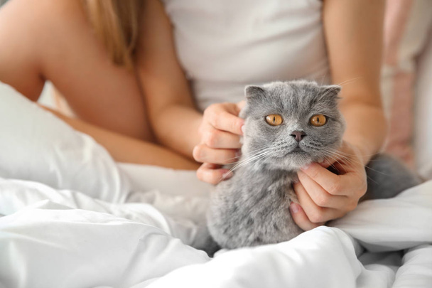 Chat mignon avec propriétaire au lit à la maison
 - Photo, image