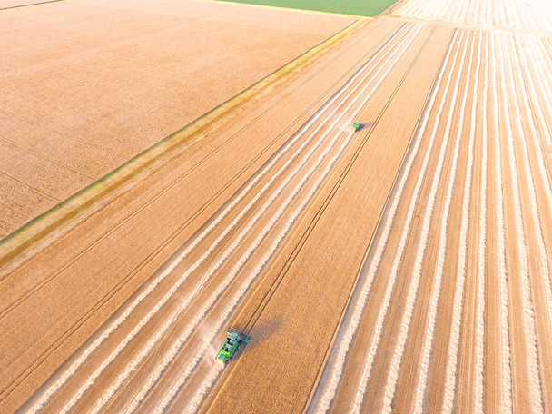 Buğday alanında hasat toplama kombaynları - Fotoğraf, Görsel