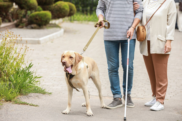 Blinde jonge man met geleidehond en moeder buitenshuis - Foto, afbeelding