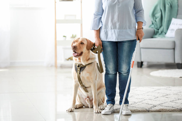 Blinde reife Frau mit Blindenhund zu Hause - Foto, Bild