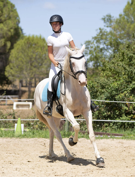 ratsastus tyttö ja hevonen - Valokuva, kuva