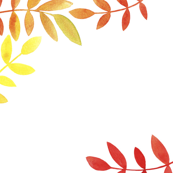 Acquerello disegnato a mano arancione giallo rosso rosa canina foglie con spazio copia su sfondo bianco. Illustrazione per biglietti di auguri, inviti di nozze, stampa
 - Foto, immagini
