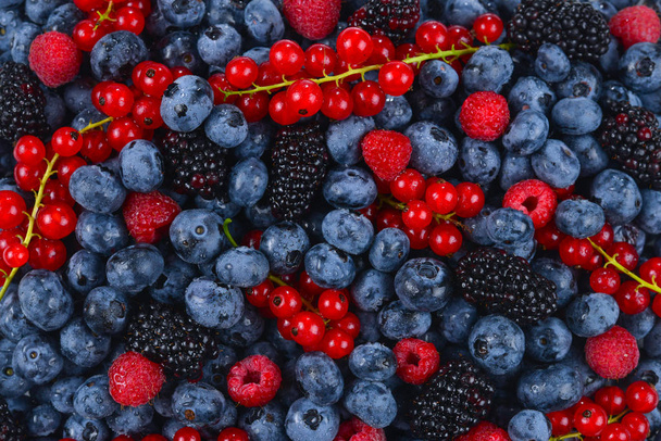 Blackberry, raspberry, blueberry,  red currant and mint backgrou - Zdjęcie, obraz