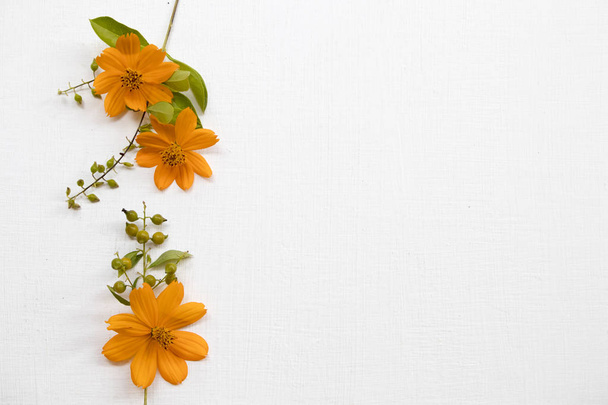barevný oranžový květ Kosmos místní Flóra Asia uspořádání plochý ležel pohlednicový styl na pozadí bílá dřevěná - Fotografie, Obrázek