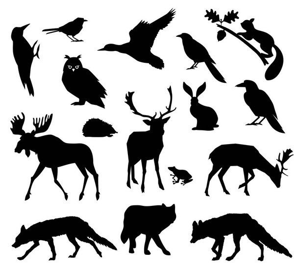 Woodland forest. Animals living in european forest. Vector icon set of silhouette. National park. - Vector, Image