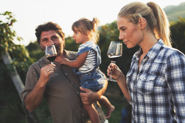 Picture of people tasting red wine in vineyard having fun time - Photo, Image