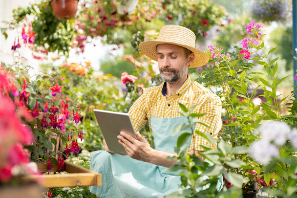 Jardinero maduro en sombrero y ropa de trabajo sentado entre flores florecientes y navegar en la red para obtener información
 - Foto, Imagen