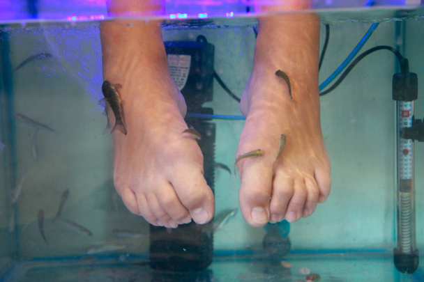 Девушка наслаждается лекарственной процедурой. Массаж ног с рыбой в аквариуме вблизи
 - Фото, изображение