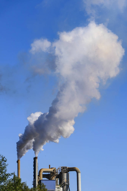 Harnosand, Suecia Una planta de procesamiento de pasta y papel expulsa humos
. - Foto, imagen