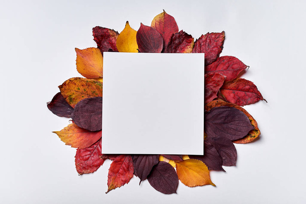 Autumn composition. Frame made of blank paper and leaves on whit - Zdjęcie, obraz