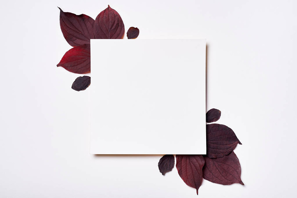 Autumn composition. Frame made of blank paper and leaves on whit - Zdjęcie, obraz