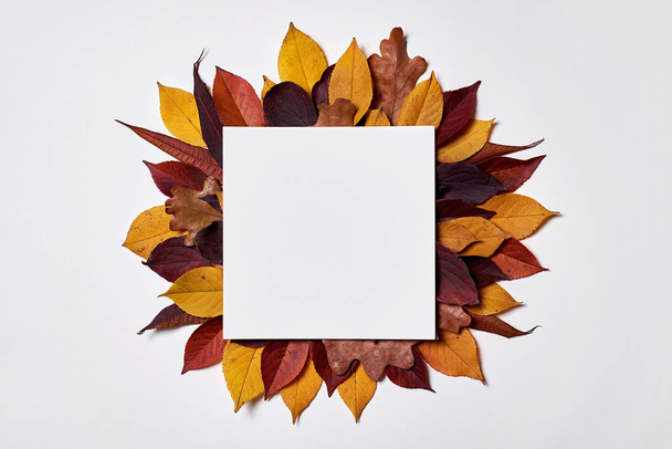 Φθινοπωρινή σύνθεση. Καρέ φτιαγμένο από λευκό χαρτί, κίτρινο και κόκκινο Le - Φωτογραφία, εικόνα