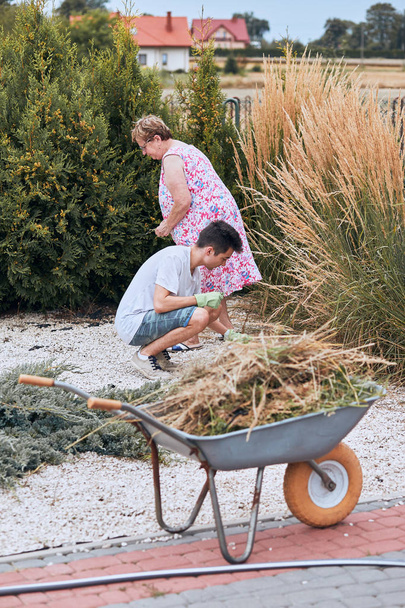 Grandchildren helping grandmother at a home garden - Фото, зображення