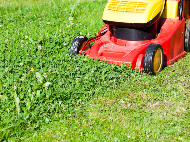 lawn mower mows green lawn - Photo, Image