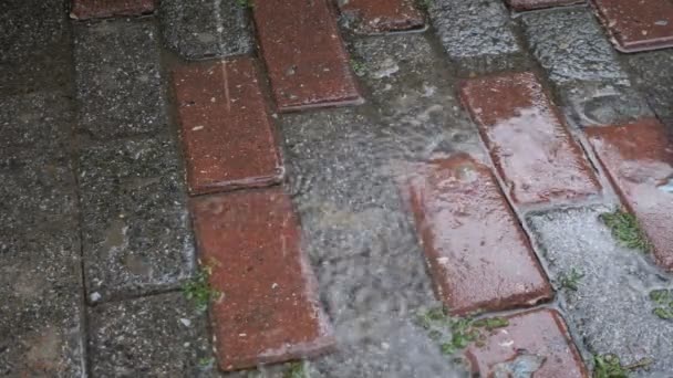 Kaldırım taşlarına düşen yağmur damlaları - Video, Çekim