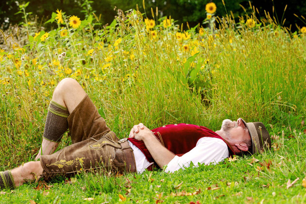 bavarian man lying at field of sunflowers and sleeping - 写真・画像