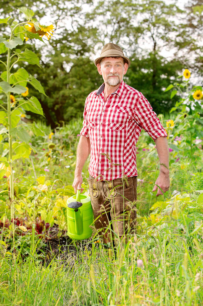 handsome bavarian man standing in the garden and watering the fl - Φωτογραφία, εικόνα