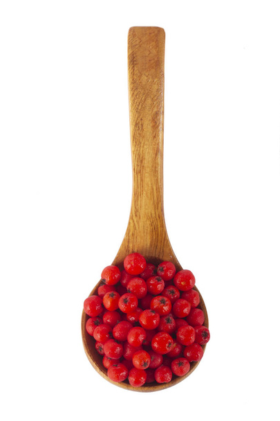 ripe ashberry close up  - Foto, Imagem