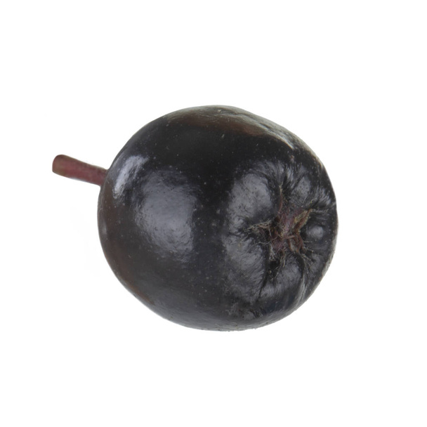 ripe ashberry close up  - Foto, imagen