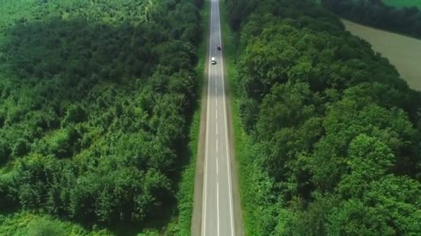 Fly over drone view. Cars are driving along the freeway amidst a dense forest in the mountains. 4K. - Footage, Video