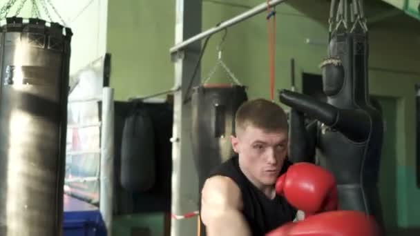 Młody muskularny Człowiek profesjonalny bokser walczy z cieniem, stałym strzałem.  - Materiał filmowy, wideo