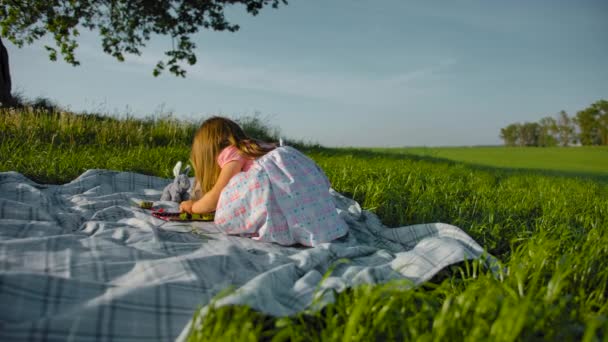 A three-year-old girl plays with her soft toys in a tea party in a meadow. - Footage, Video