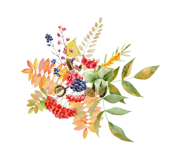 Watercolor handpainted fall arrangement of foliage and fruit - Φωτογραφία, εικόνα