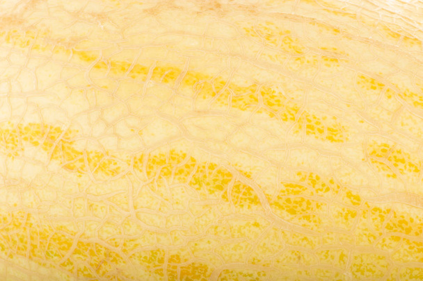 melon fruit close up  - Zdjęcie, obraz