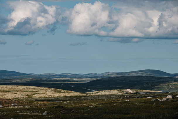 Summer landscape of the green polar tundra in the vicinity Teriberka - 写真・画像