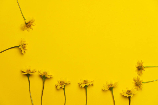 cadre de petite fleur sauvage jaune vif vif sur papier b
 - Photo, image