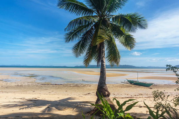Philippines. palm trees on the sea - Zdjęcie, obraz