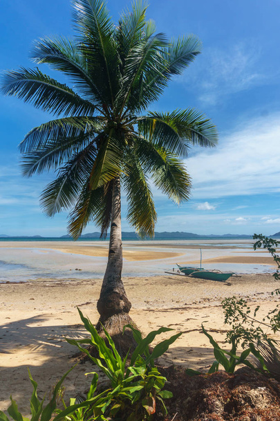 Philippines. palm trees on the sea - Фото, изображение