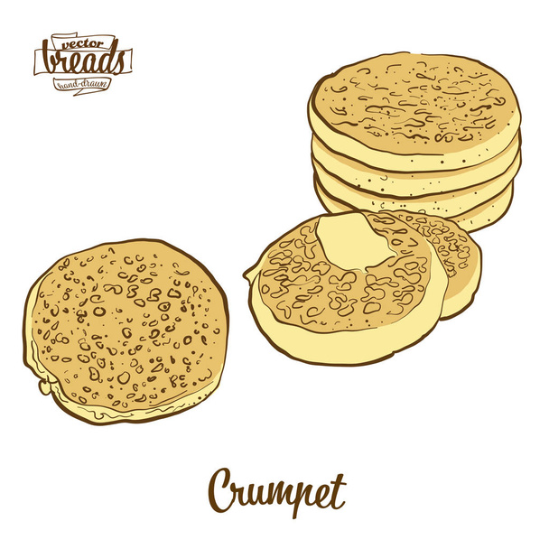 Colored drawing of Crumpet bread - Vector, Image