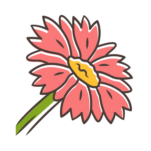 Blanket flower red color icon. Gaillardia aristata garden plant. Arizona apricot. Blooming wildflower. Summer and spring blossom. Isolated vector illustration - Vektör, Görsel