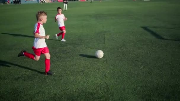 молодий воротар протистоять атакам під час тренування
 - Кадри, відео