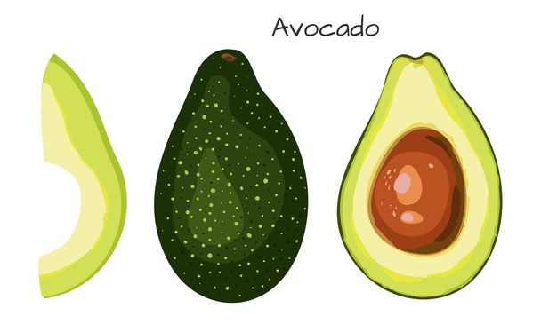 Avocado isolated on white background. Healthy vegan food. - Vector, Image