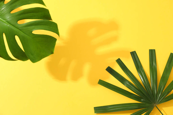 Diferentes hojas de palma sobre fondo amarillo, espacio para copiar
 - Foto, imagen