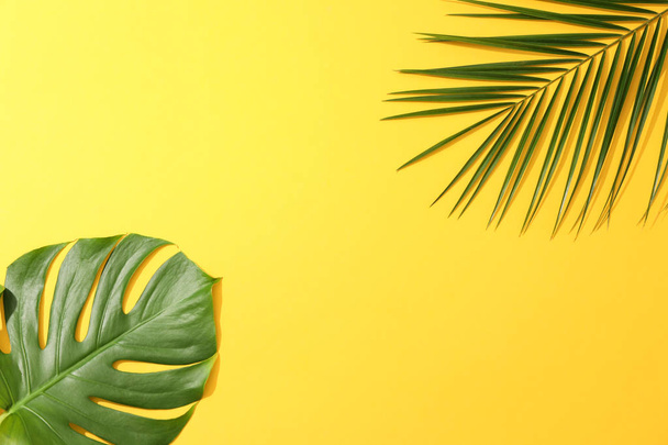 Different palm leaves on yellow background, copy space - Photo, image