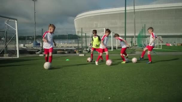 Kleine Jungs trainieren auf dem Fußballplatz - Filmmaterial, Video