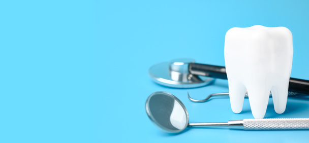Стоматологічна модель та стоматологічне обладнання на сірому фоні, концепція im
 - Фото, зображення