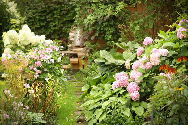 formaler Garten mit Hortensienblumen, Gladiolen, Flocken und Holz - Foto, Bild