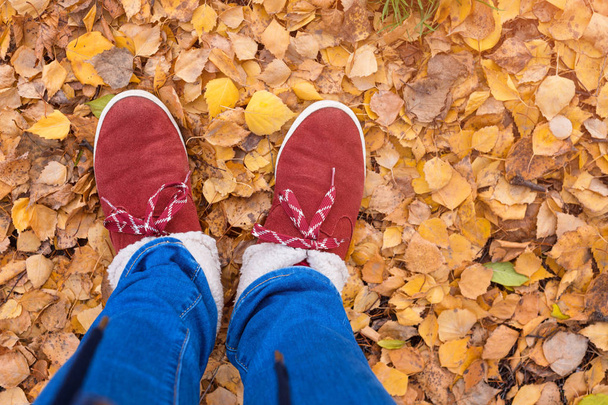 秋の自然を背景に、秋の紅葉の公園を歩く暖かい靴の足。ライフスタイルファッショントレンディーなスタイル。ヒップスタースタイルの靴で秋の季節 - 写真・画像