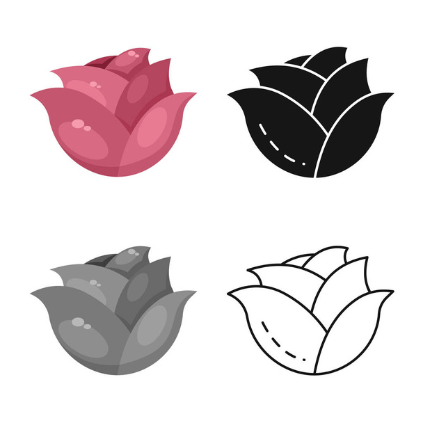Isolated object of cabbage and purple logo. Set of cabbage and ingredient vector icon for stock. - Vektor, kép