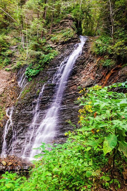 Zhenetskyi Huk waterval in het groene bos. Carpathians, Oekraïne - Foto, afbeelding