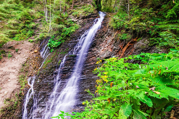 V zeleném lese se nachází vodopád zhenetskyi huk. Karpaty, Ukrajina - Fotografie, Obrázek